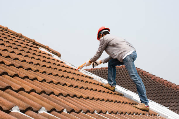 Best Rubber Roofing (EPDM, TPO)  in Canton, IL