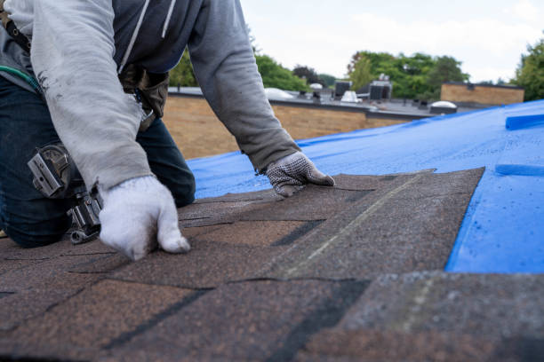 Best Gutter Installation and Repair  in Canton, IL